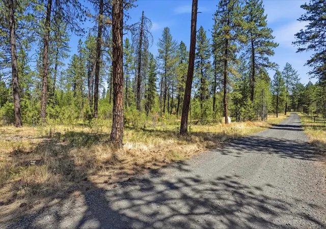 Photo 4 of Land for sale at 0 E Owens Rd, Chattaroy, WA 99003 | MLS# 202620803 | Listing updated on 2026-08-26