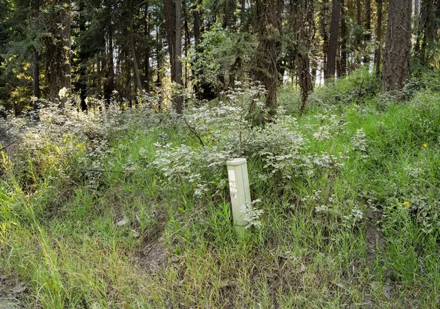25th image of Xxx N Madison Rd, Mead, WA 99021 | MLS# 202620809