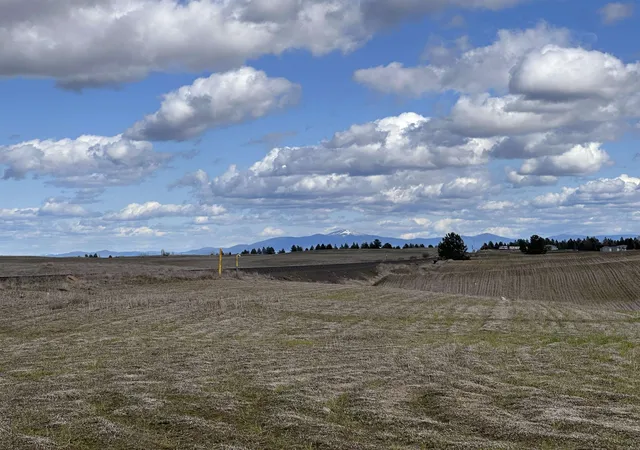 Photo 1 of Land for sale at 11xxx S Rambo Rd, Medical Lake, WA 99022 | MLS# 202620831 | Listing updated on 2026-07-30