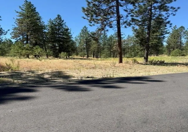 Homes for sale in Nine Mile Falls, WA | Lot 11 Long Lake Estates Est, Nine Mile Falls, WA 99026 | MLS# 202620854