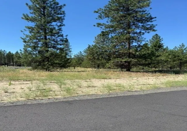 Homes for sale in Nine Mile Falls, WA | Lot 12 Long Lake Estates Est, Nine Mile Falls, WA 99026 | MLS# 202620856