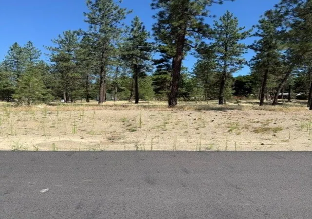 Homes for sale in Nine Mile Falls, WA | Lot 13 Long Lake Estates Est, Nine Mile Falls, WA 99026 | MLS# 202620857
