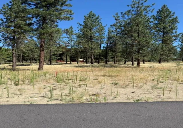 Homes for sale in Nine Mile Falls, WA | Lot 14 Long Lake Estates Est, Nine Mile Falls, WA 99026 | MLS# 202620858
