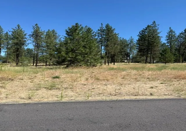 Homes for sale in Nine Mile Falls, WA | Lot 15 Long Lake Estates Est, Nine Mile Falls, WA 99026 | MLS# 202620859