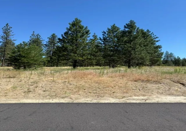 Homes for sale in Nine Mile Falls, WA | Lots 16 Long Lake Estates Est, Nine Mile Falls, WA 99026 | MLS# 202620860