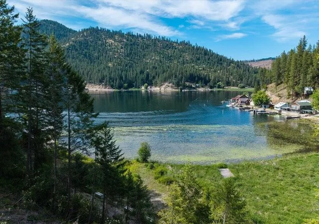 Homes for sale in Loon Lake, WA | 000 E Deer Lake Rd, Loon Lake, WA 99109 | MLS# 202620865