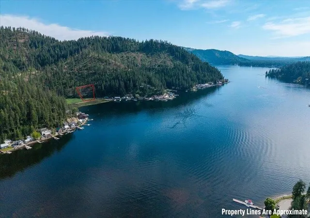 Homes for sale in Loon Lake, WA | 000 E Deer Lake Rd, Loon Lake, WA 99109 | MLS# 202620865