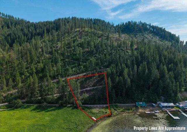 Homes for sale in Loon Lake, WA | 000 E Deer Lake Rd, Loon Lake, WA 99109 | MLS# 202620865