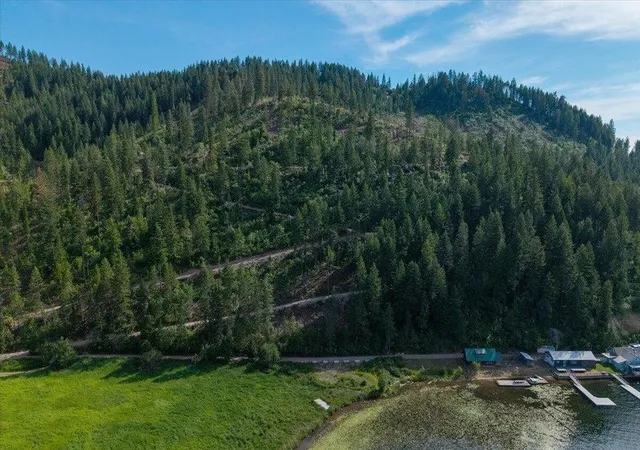 Homes for sale in Loon Lake, WA | 000 E Deer Lake Rd, Loon Lake, WA 99109 | MLS# 202620865