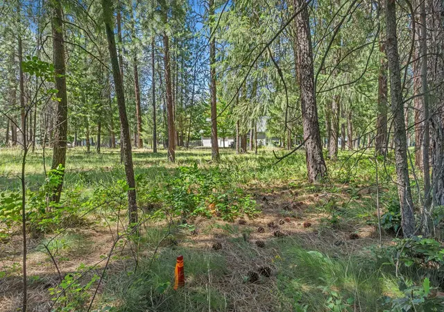3rd image of 407 Hogans Wy, Chewelah, WA 99109 | MLS# 202620892