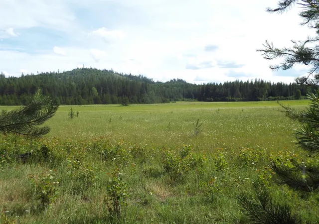 4th image of 307 Beaver Valley Rd, Newport, WA 99156 | MLS# 202620927