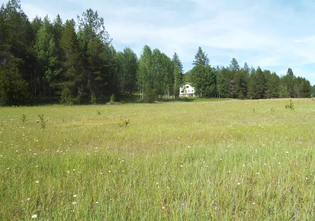5th image of 307 Beaver Valley Rd, Newport, WA 99156 | MLS# 202620927