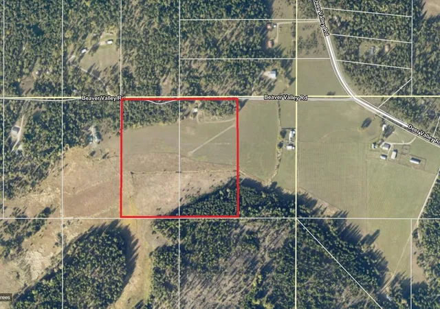 6th image of 307 Beaver Valley Rd, Newport, WA 99156 | MLS# 202620927