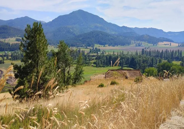 1st image of 700 Pingston Creek Rd, Kettle Falls, WA 99141 | MLS# 202620939