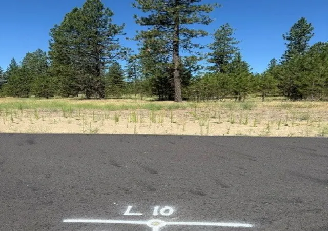 3rd image of Lot 10 Long Lake Estates Wy, Nine Mile Falls, WA 99026 | MLS# 202620958