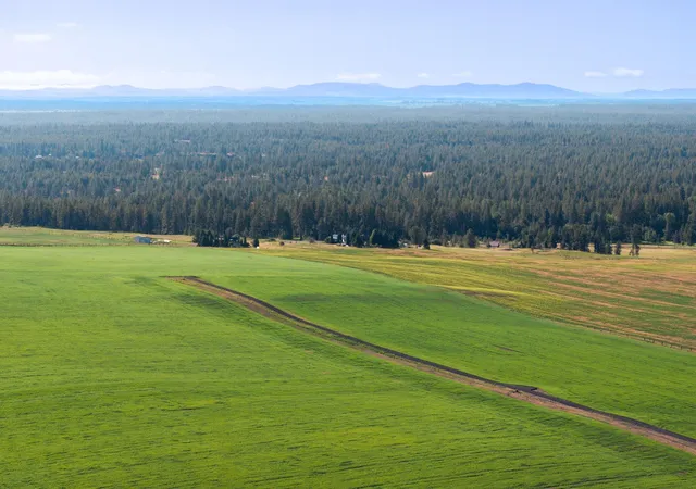 Photo 4 of Sale Pending at 15275 S Andrus Rd, Cheney, WA 99004 | MLS# 202620963 | Listing updated on 2026-09-01