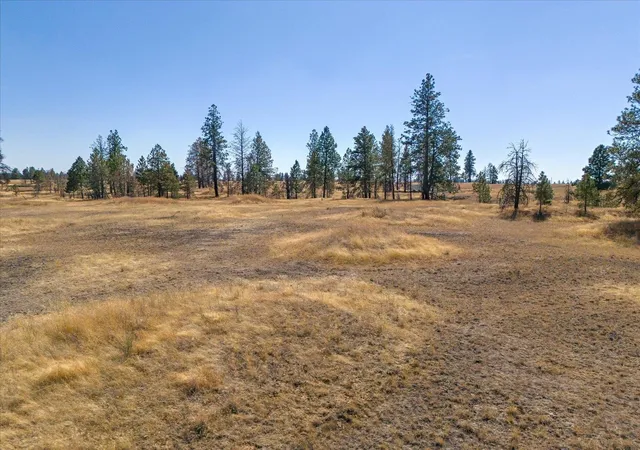 Photo 3 of Land for sale at 36377 S Bootstrap Ln, Cheney, WA 99004 | MLS# 202621024 | Listing updated on 2026-07-23