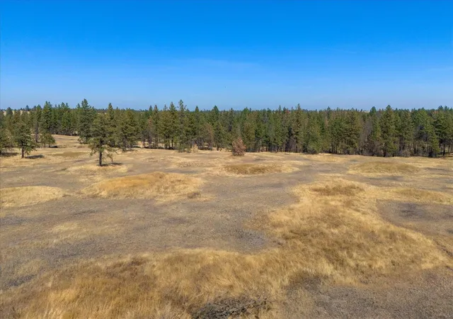 Photo 4 of Land for sale at 36377 S Bootstrap Ln, Cheney, WA 99004 | MLS# 202621024 | Listing updated on 2026-07-23