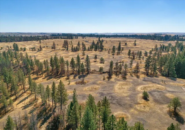 Photo 10 of Land for sale at 36377 S Bootstrap Ln, Cheney, WA 99004 | MLS# 202621024 | Listing updated on 2026-07-23