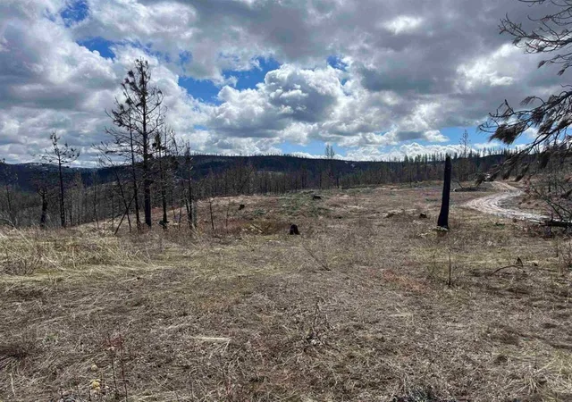 Photo 3 of Sale Pending at Lot 8 Rail Cyn Rd, Springdale, WA 99173 | MLS# 202621028 | Listing updated on 2026-08-24
