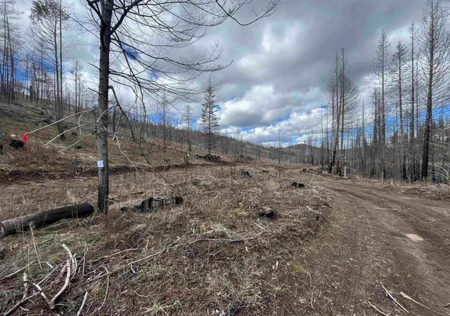 Photo 3 of Sale Pending at Lot 8 Rail Cyn Rd, Springdale, WA 99173 | MLS# 202621028 | Listing updated on 2026-08-24