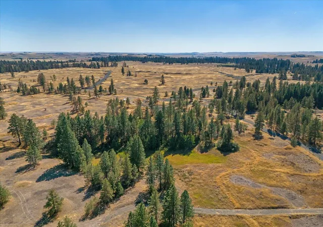 Photo 4 of Land for sale at 36321 S Bootstrap Ln, Cheney, WA 99004 | MLS# 202621029 | Listing updated on 2026-07-23