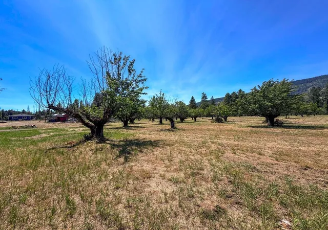 24th image of 1248 Peachcrest Rd, Kettle Falls, WA 99141 | MLS# 202621045