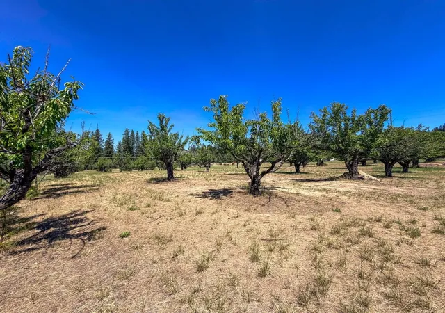 Photo 3 of Land for sale at 1248 Peachcrest Rd, Kettle Falls, WA 99141 | MLS# 202621045 | Listing updated on 2026-07-23