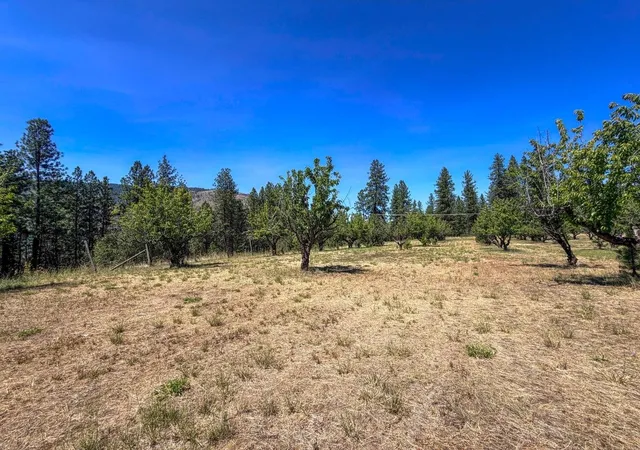 21st image of 1244 Peachcrest Rd, Kettle Falls, WA 99141 | MLS# 202621051