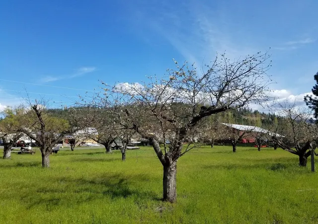 Photo 3 of Land for sale at 1244 Peachcrest Rd, Kettle Falls, WA 99141 | MLS# 202621051 | Listing updated on 2026-07-23