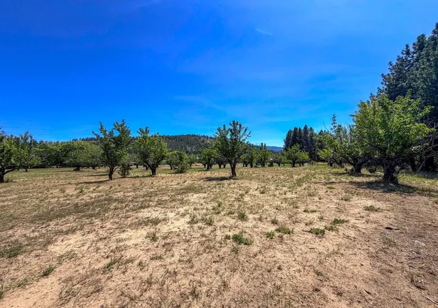 Photo 3 of Land for sale at 1244 Peachcrest Rd, Kettle Falls, WA 99141 | MLS# 202621051 | Listing updated on 2026-07-23