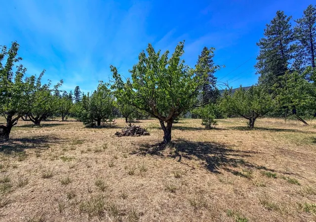 24th image of 1240 Peachcrest Rd, Kettle Falls, WA 99141 | MLS# 202621054