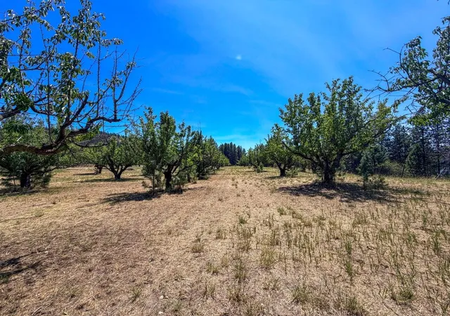 Photo 3 of Land for sale at 1240 Peachcrest Rd, Kettle Falls, WA 99141 | MLS# 202621054 | Listing updated on 2026-07-23