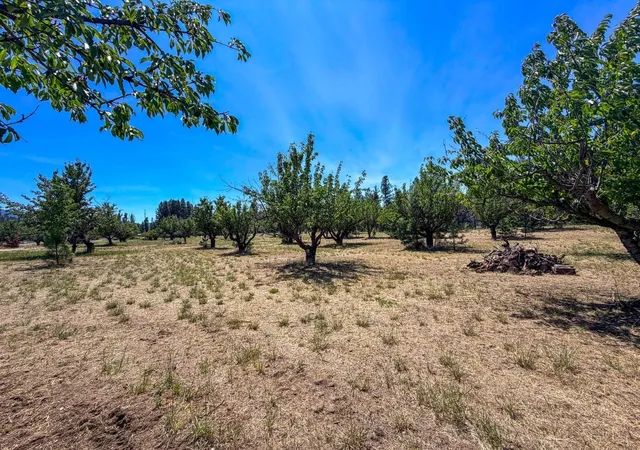 Photo 4 of Land for sale at 1240 Peachcrest Rd, Kettle Falls, WA 99141 | MLS# 202621054 | Listing updated on 2026-07-23