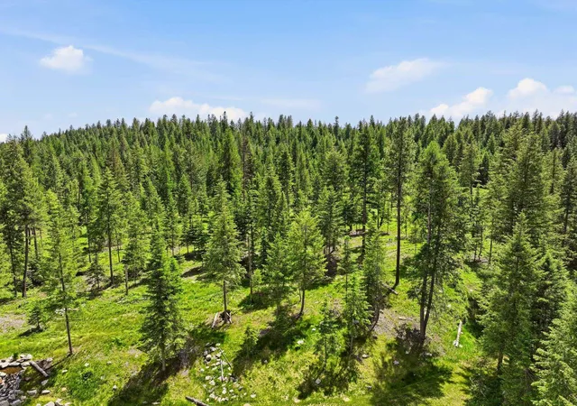 Photo 2 of Land for sale at Tbd E Deer Park Milan Rd, Deer Park, WA 99006 | MLS# 202621102 | Listing updated on 2026-07-24