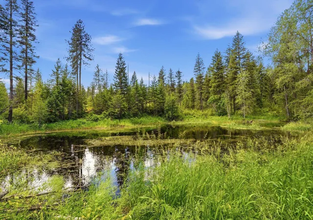 Photo 3 of Land for sale at Tbd E Deer Park Milan Rd, Deer Park, WA 99006 | MLS# 202621102 | Listing updated on 2026-07-24