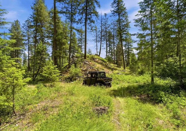 Photo 4 of Land for sale at Tbd E Deer Park Milan Rd, Deer Park, WA 99006 | MLS# 202621102 | Listing updated on 2026-07-24