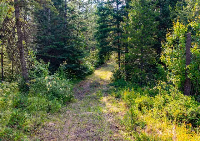 1st image of Nka Slate Rd Lot 18 Rd, Newport, WA 99156 | MLS# 202621125