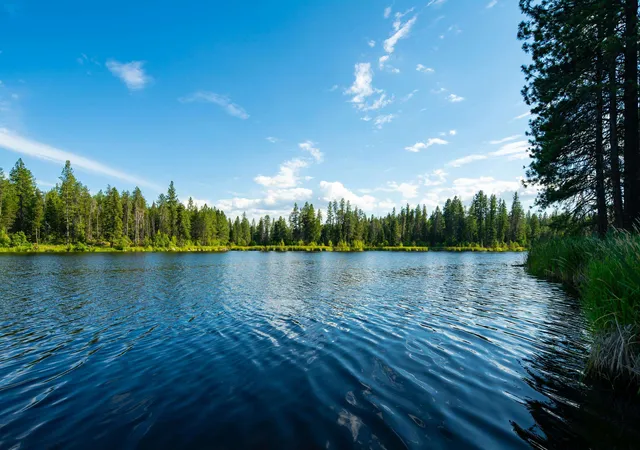 Photo 3 of Land for sale at Nka Slate Rd Lot 18, Newport, WA 99156 | MLS# 202621125 | Listing updated on 2026-07-24