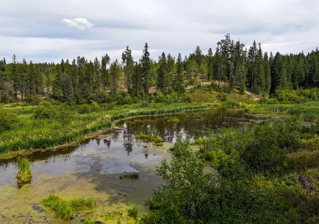 Photo 1 of Land for sale at 52xx Wagner Rd, Springdale, WA 99173 | MLS# 202621128 | Listing updated on 2026-07-24