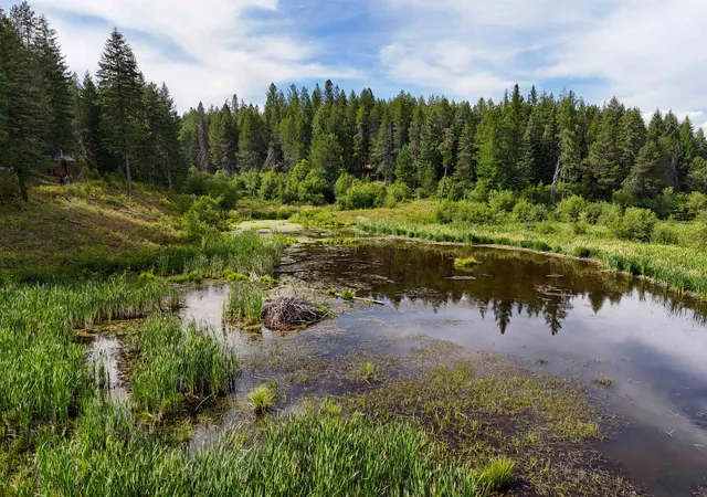Photo 2 of Land for sale at 52xx Wagner Rd, Springdale, WA 99173 | MLS# 202621128 | Listing updated on 2026-07-24