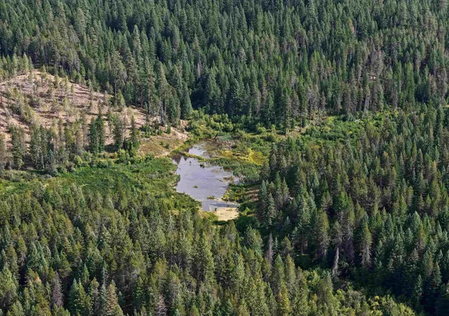 Photo 3 of Land for sale at 52xx Wagner Rd, Springdale, WA 99173 | MLS# 202621128 | Listing updated on 2026-07-24