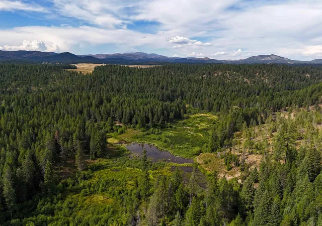 Photo 4 of Land for sale at 52xx Wagner Rd, Springdale, WA 99173 | MLS# 202621128 | Listing updated on 2026-07-24