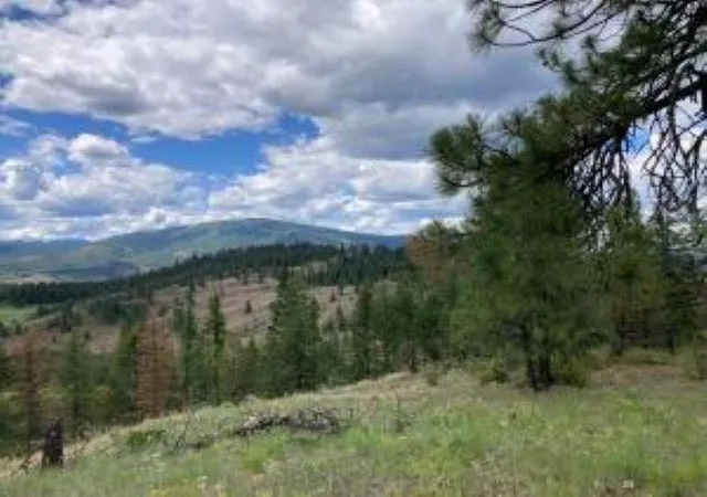 Photo 3 of Land for sale at 4xx R Vista View Ln, Kettle Falls, WA 99138 | MLS# 202621134 | Listing updated on 2026-07-24