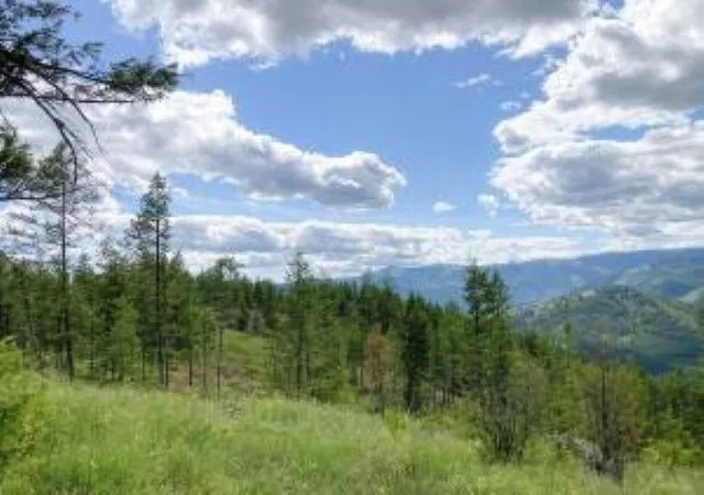 Photo 3 of Land for sale at 4xx R Vista View Ln, Kettle Falls, WA 99138 | MLS# 202621134 | Listing updated on 2026-07-24
