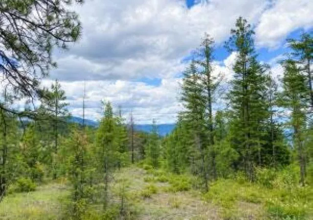Photo 4 of Land for sale at 4xx R Vista View Ln, Kettle Falls, WA 99138 | MLS# 202621134 | Listing updated on 2026-07-24