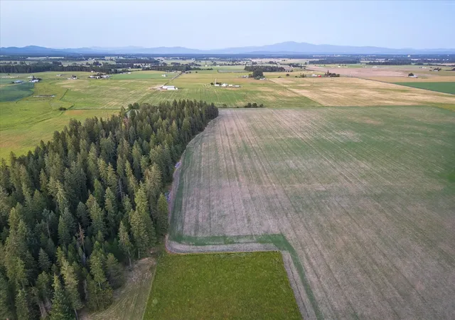 Photo 3 of Land for sale at Nka Furze (lot 3) Rd, Clayton, WA 99110 | MLS# 202621183 | Listing updated on 2026-08-12