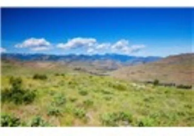 1st image of Xxx Sawtooth View Rd, Pateros, WA 98846 | MLS# 202621207