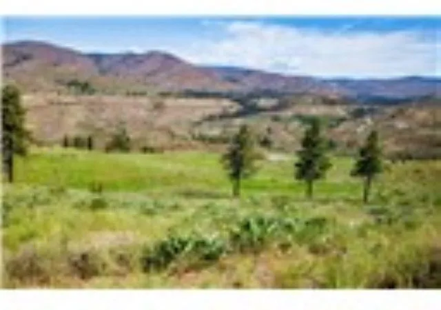 image of Xxx Sawtooth View Rd, Pateros, WA 98846 | MLS# 202621207