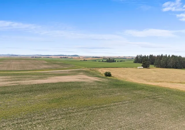 15th image of Xxxx E Toll Rd, Rockford, WA 99030 | MLS# 202621236